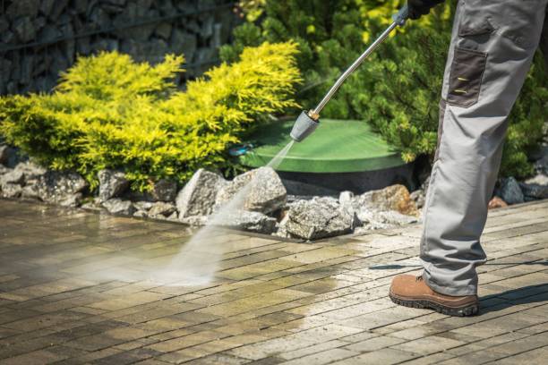 Best Gutter Cleaning  in Ludowici, GA