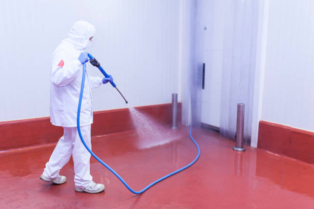 Best Post-Construction Pressure Washing  in Ludowici, GA
