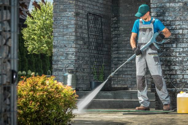 Best Paint Preparation  in Ludowici, GA