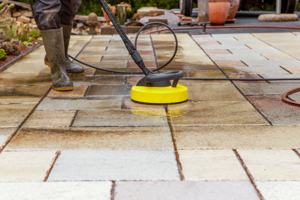 Best Driveway Pressure Washing  in Ludowici, GA