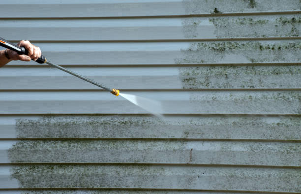 Best Gutter Cleaning  in Ludowici, GA