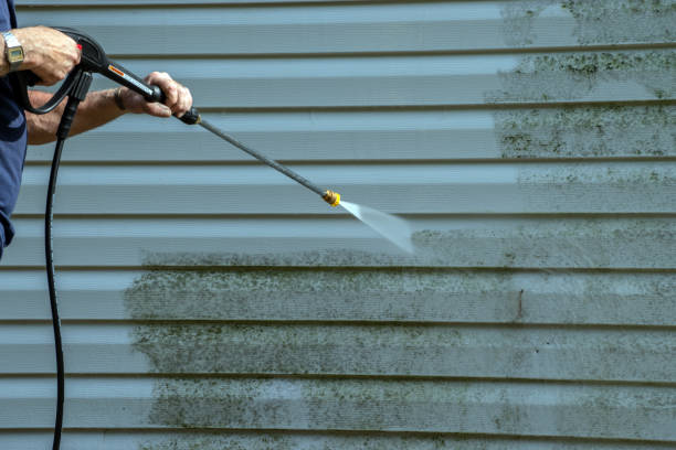 Best Roof Washing  in Ludowici, GA