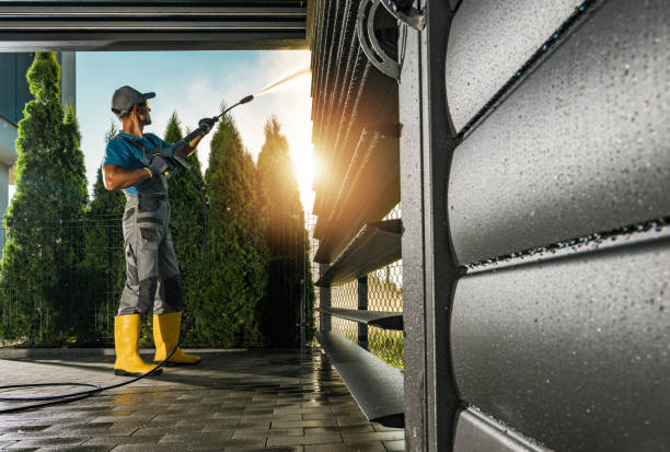 Best House Exterior Washing  in Ludowici, GA
